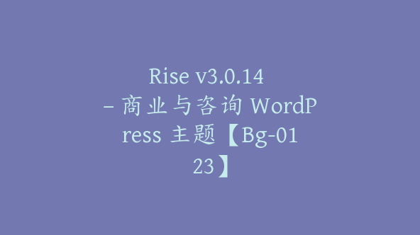 Rise v3.0.14 – 商业与咨询 WordPress 主题【Bg-0123】