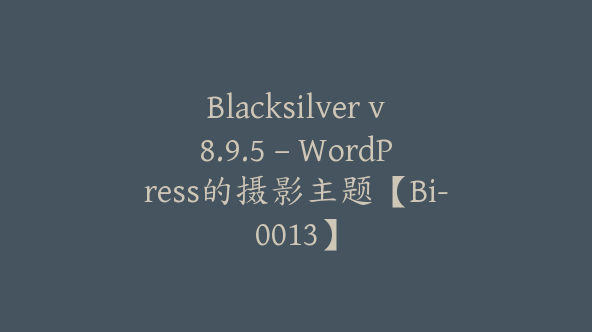 Blacksilver v8.9.5 – WordPress的摄影主题【Bi-0013】