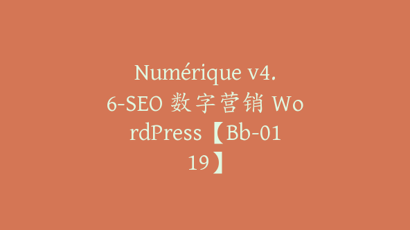 Numérique v4.6-SEO 数字营销 WordPress【Bb-0119】