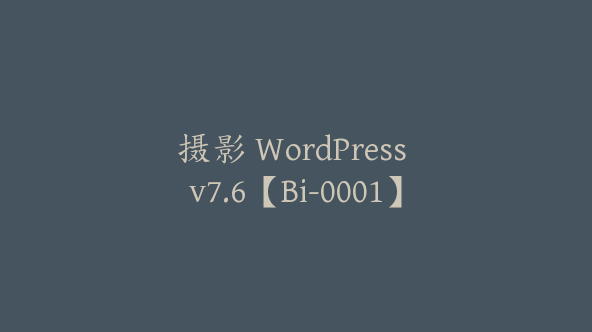 摄影 WordPress v7.6【Bi-0001】