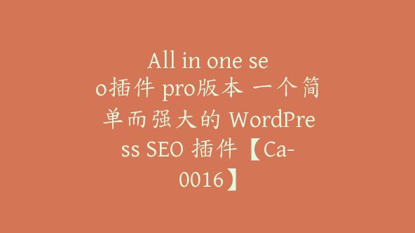 All in one seo插件 pro版本 一个简单而强大的 WordPress SEO 插件【Ca-0016】