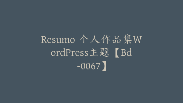 Resumo-个人作品集WordPress主题【Bd-0067】